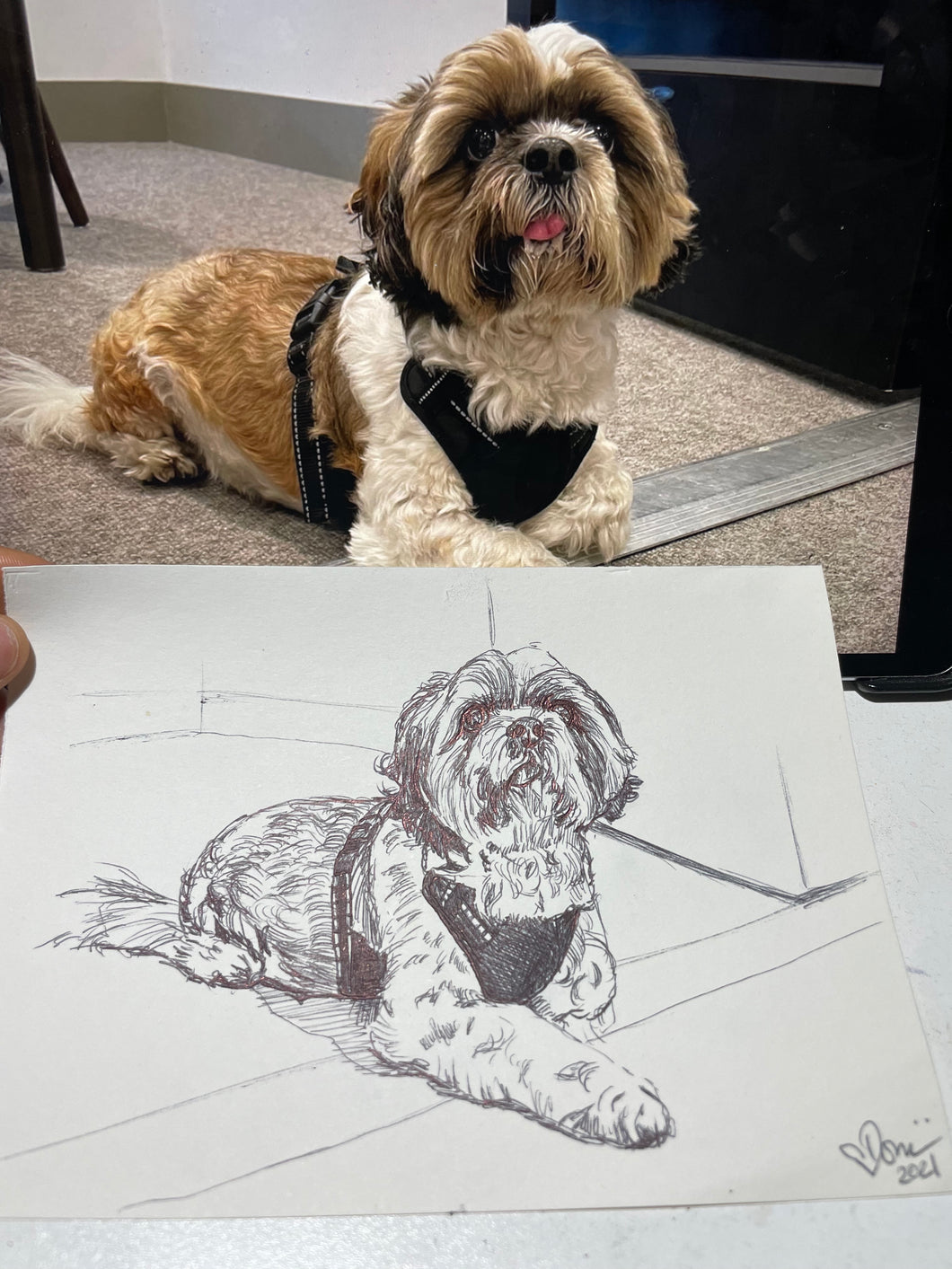 Custom Pen Drawing Portrait